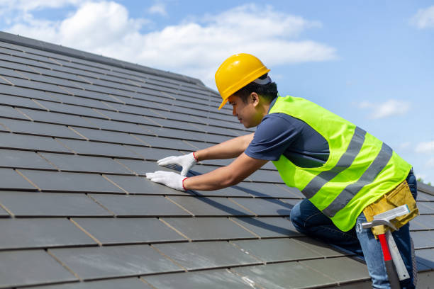 Best Roof Repair Specialists  in Pine Bluffs, WY