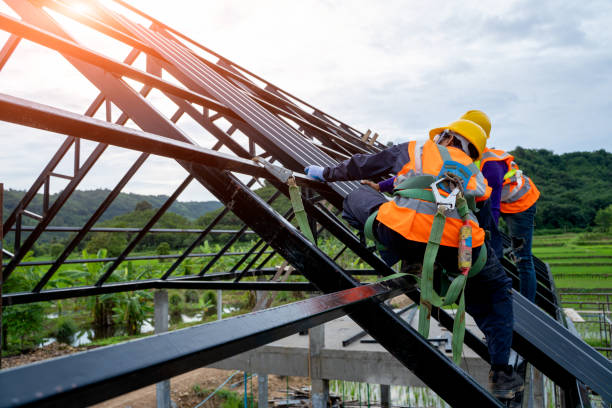 Best Roof Restoration Services  in Pine Bluffs, WY