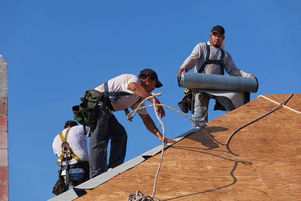 Best Local Roofing Companies  in Pine Bluffs, WY
