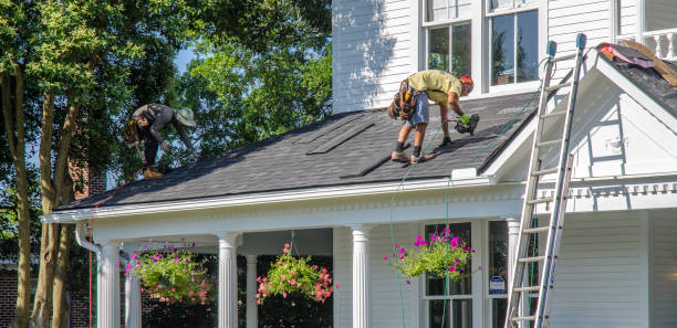Best Flat Roof Repair Services  in Pine Bluffs, WY
